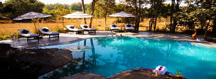 1460/Singinawa Jungle Lodge - Kanha National Park 20.jpg
